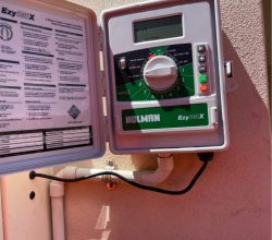 WhatsApp Image 2025-12-31 at 8.29.57 AM (1)