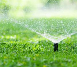 WhatsApp Image 2025-12-31 at 9.51.06 PM